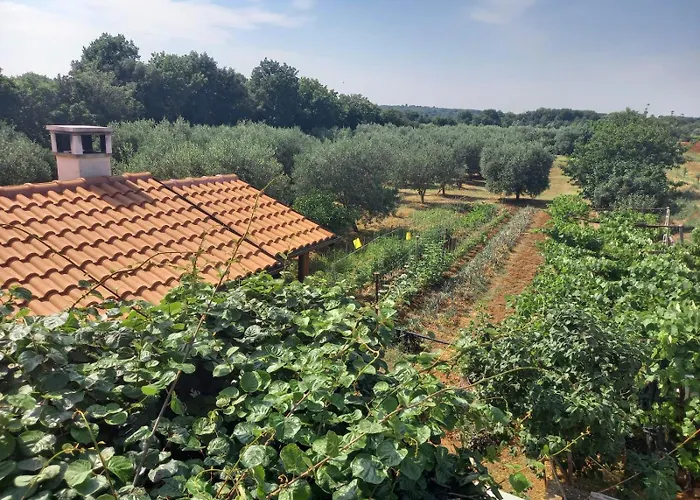 Edensk Vrt Classic!!i וינקורן