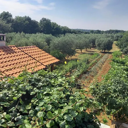 Edenski Vrt Vinkuran