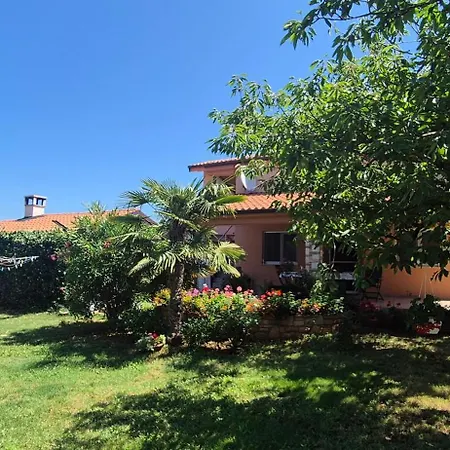 Edensk Vrt Classic!!i Vinkuran